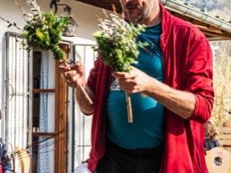 2024_03_22_palmbuschen  061